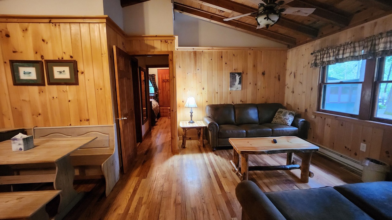 Photo of Livingroom in Lake George
