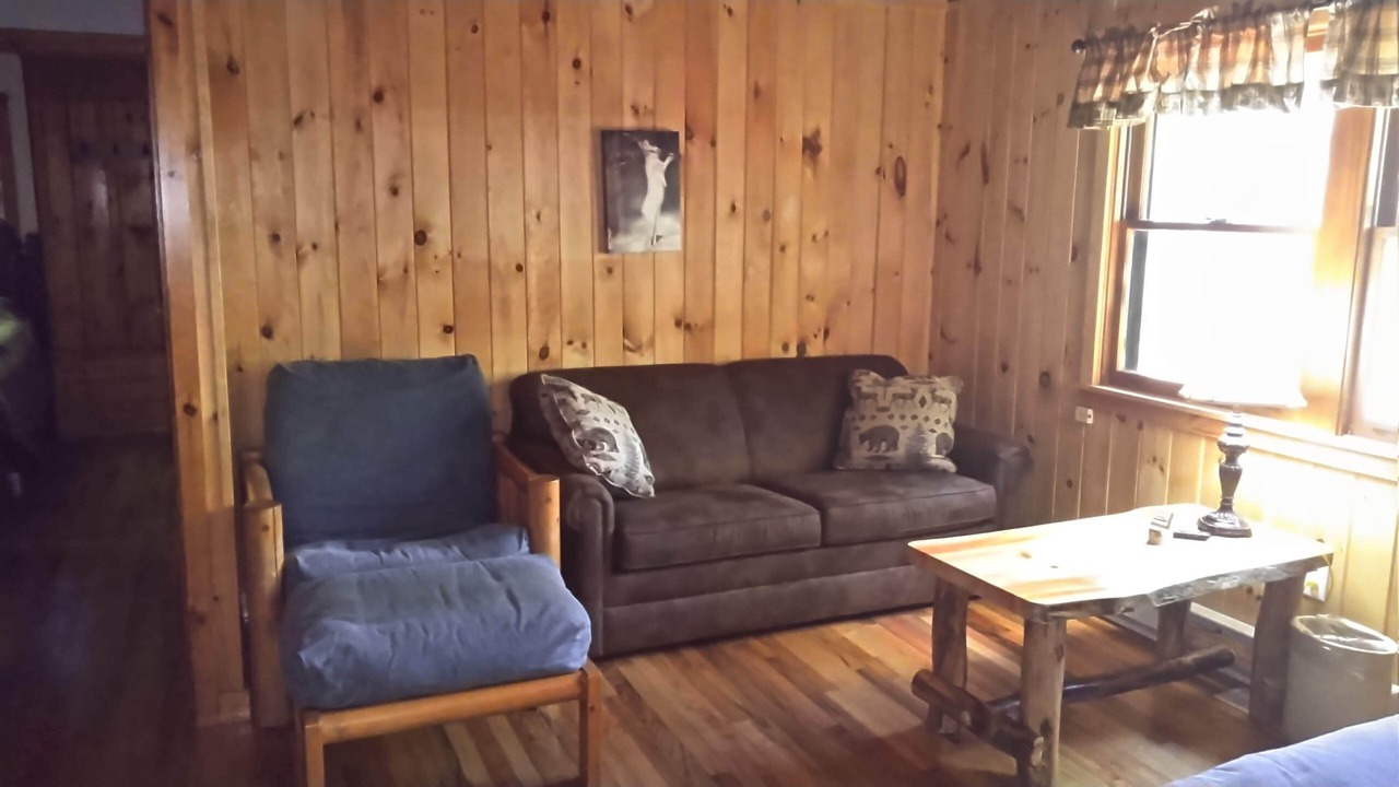 Photo of Livingroom in Lake George