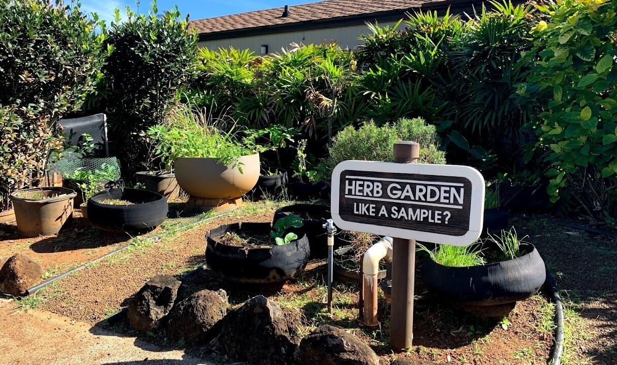 Photo of Outdoor in Kapaa