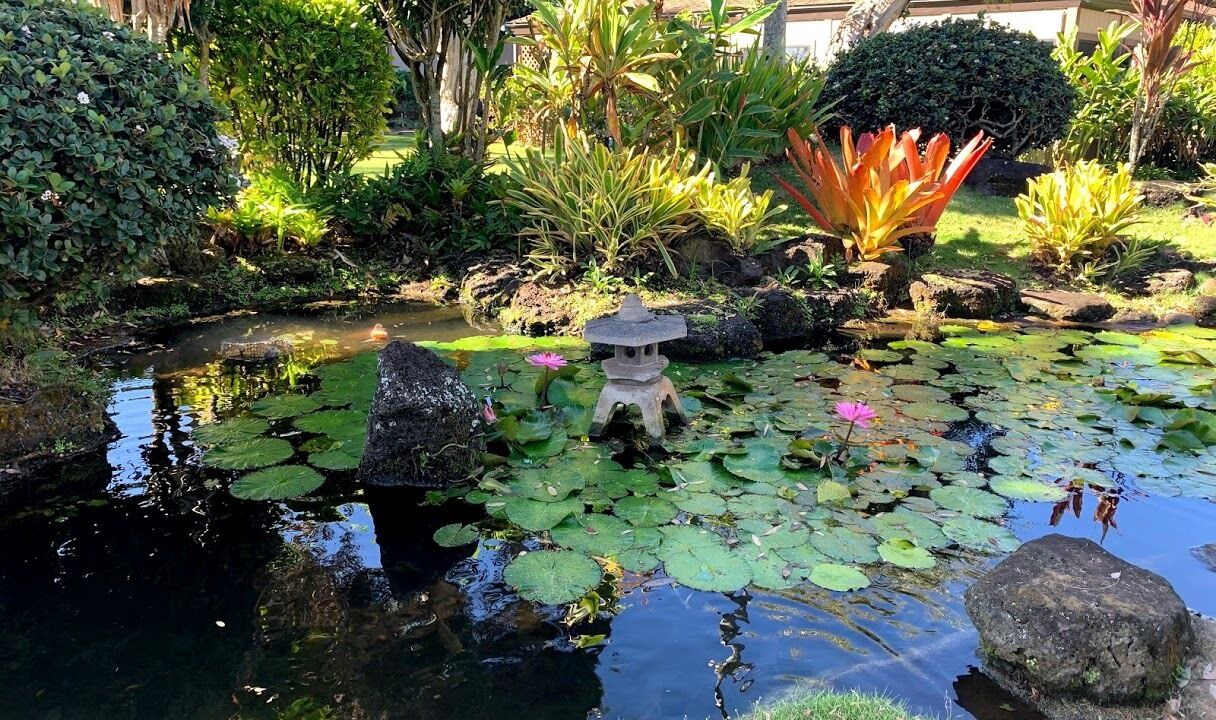 Photo of Outdoor in Kapaa