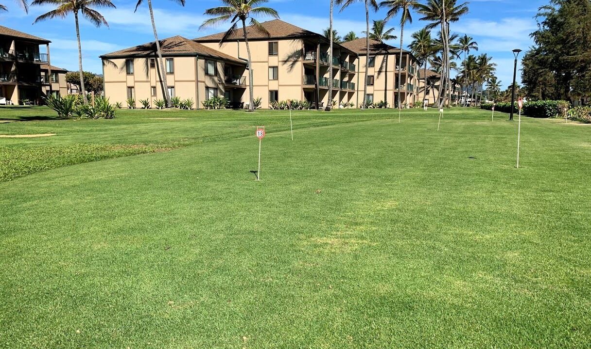 Photo of Others in Kapaa