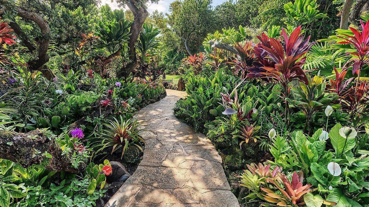 Photo of Outdoor in Kilauea