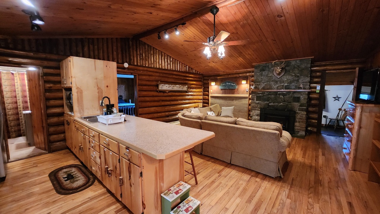 Photo of Livingroom in Lake George