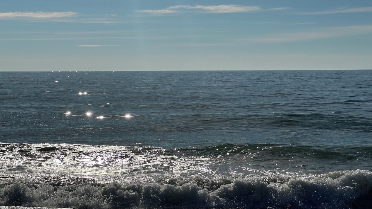 Photo of Others in North Ocean City
