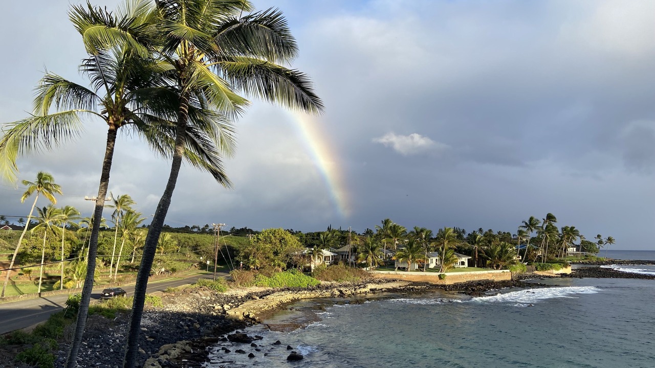 Photo of Others in Poipu