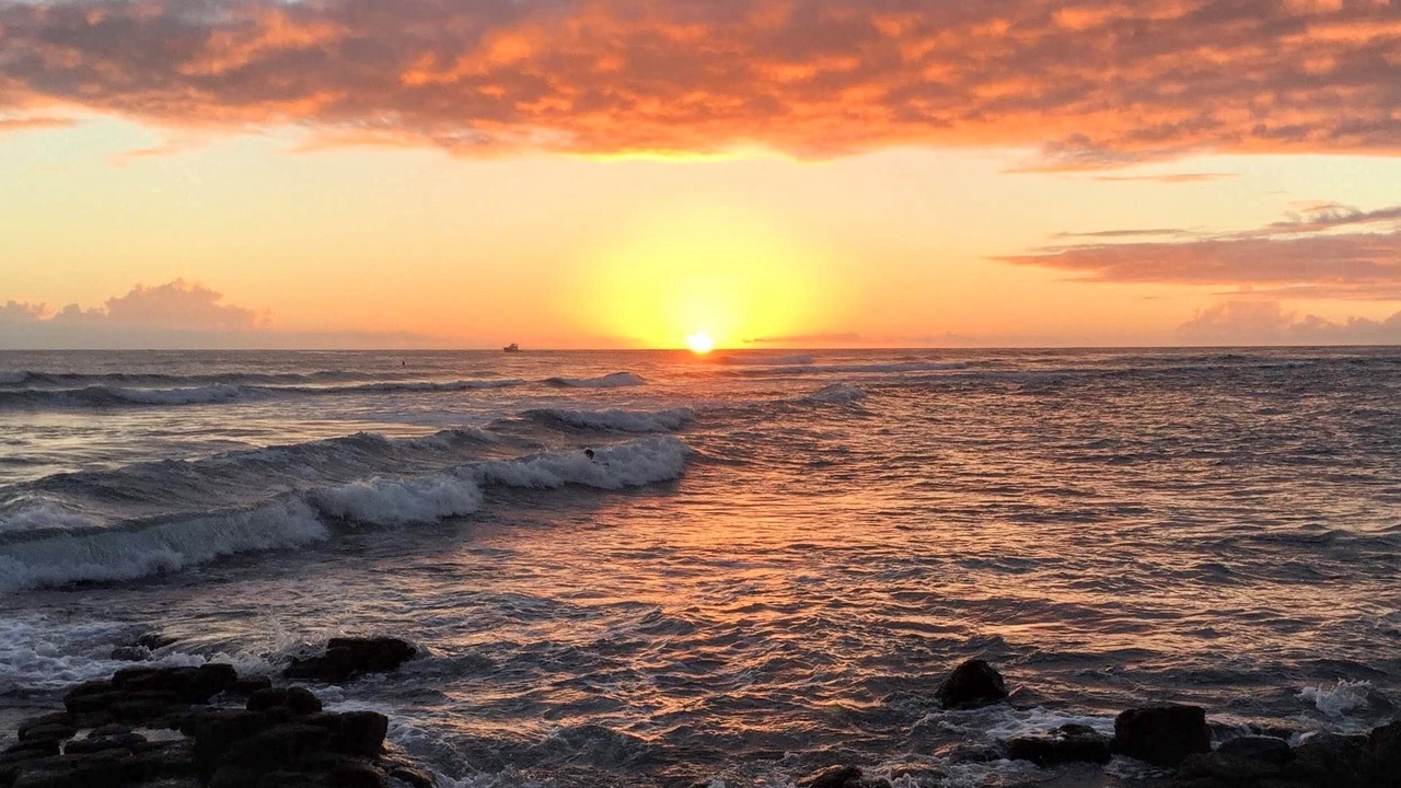 Photo of Others in Poipu