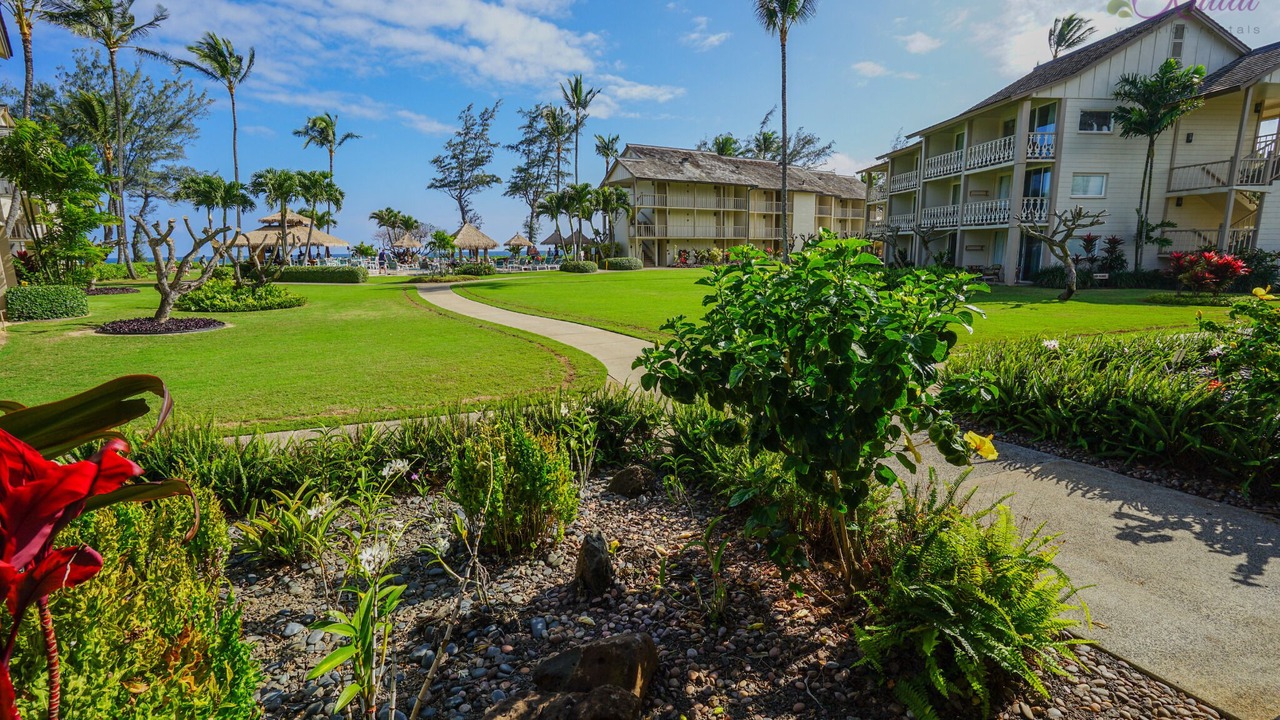 Photo of Outdoor in Wailua
