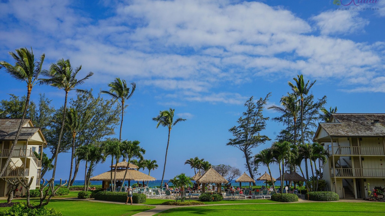 Photo of Outdoor in Wailua