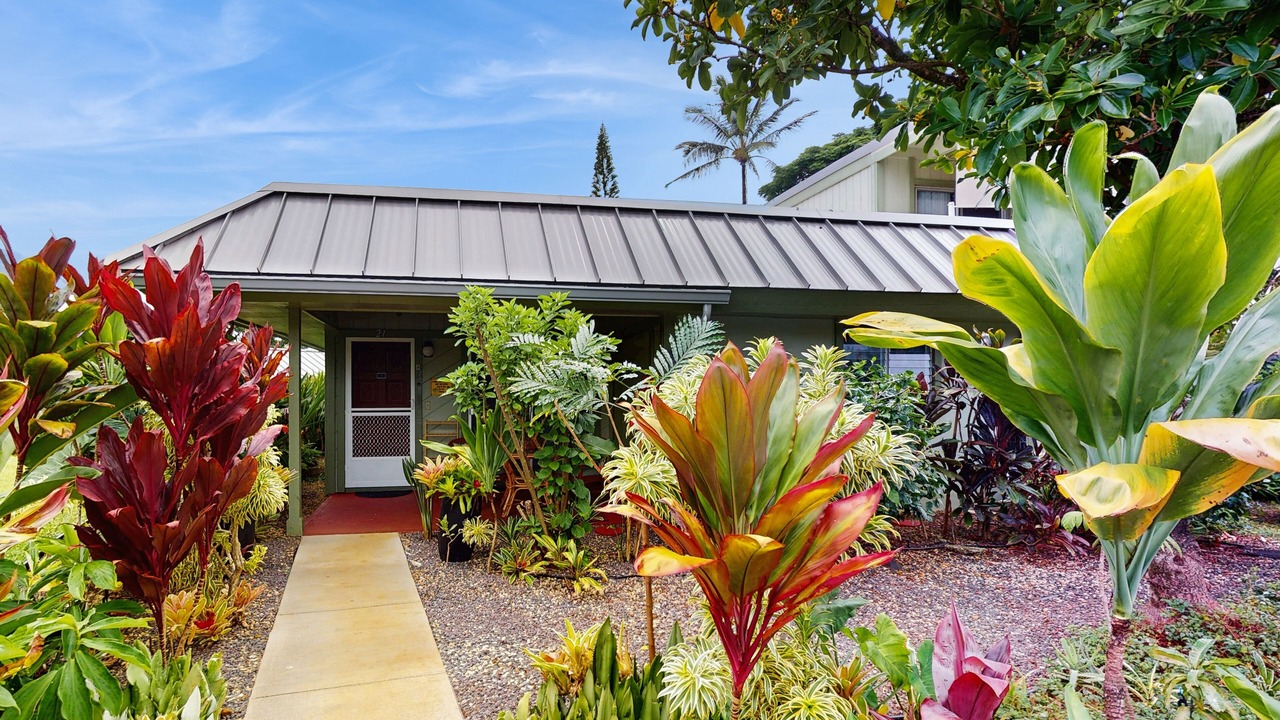 Photo of Outdoor in Princeville
