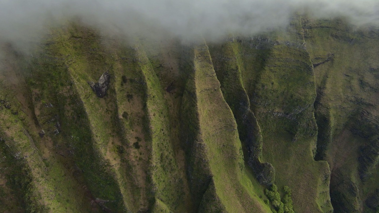Photo of Others in Wailua