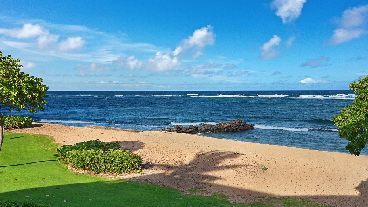 Photo of Others in Kapaa