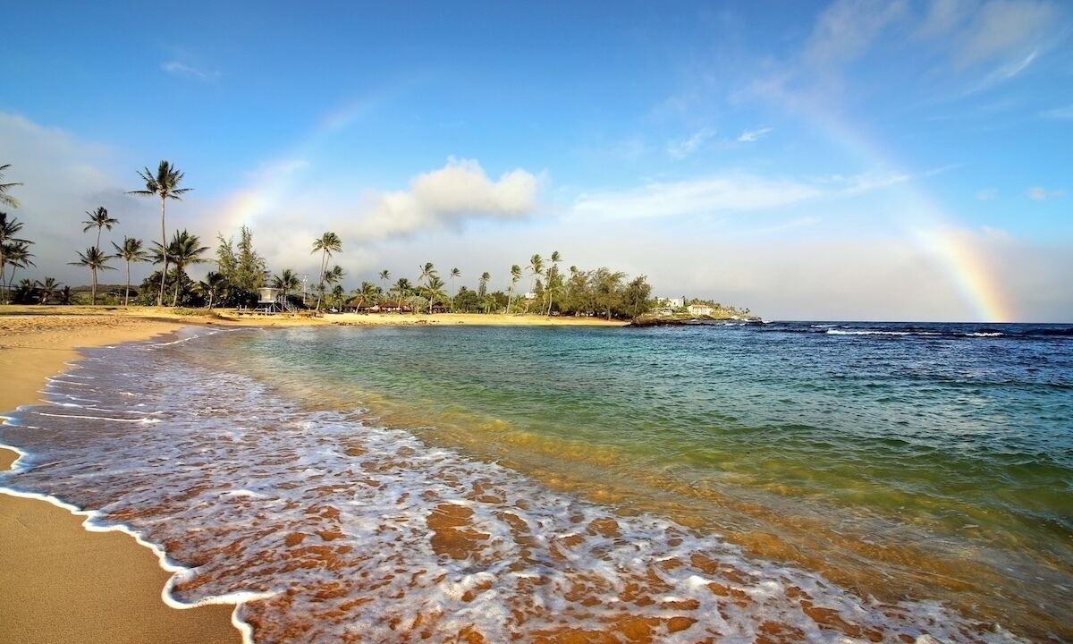 Photo of Others in Koloa