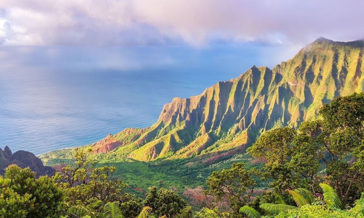Photo of Others in Koloa