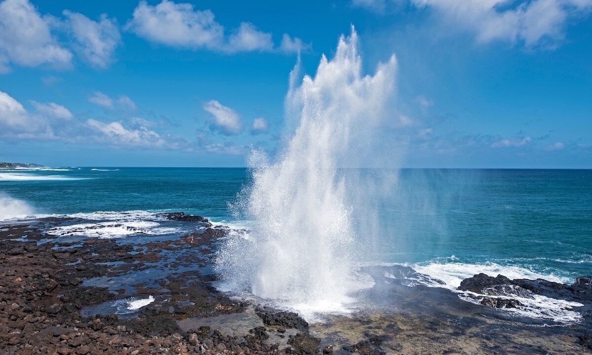 Photo of Others in Koloa
