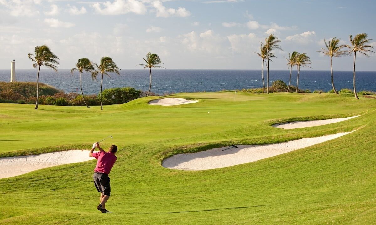 Photo of Others in Koloa