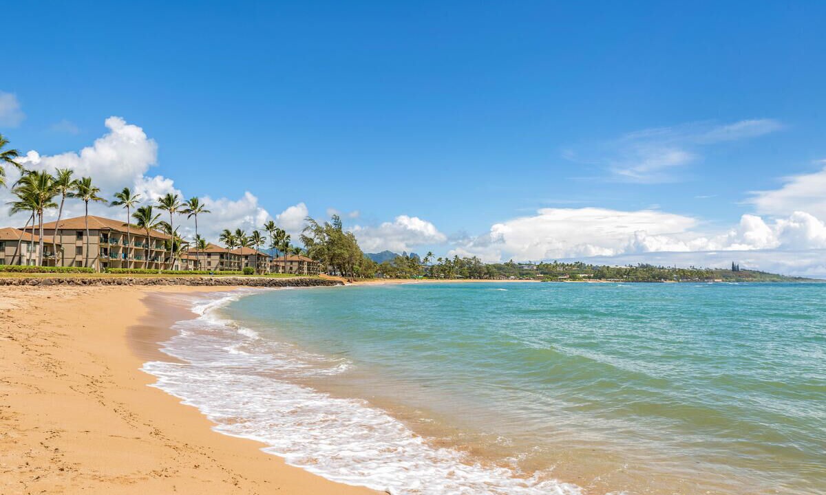 Photo of Others in Kapaa