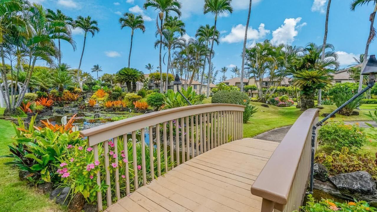 Photo of Outdoor in Wailua