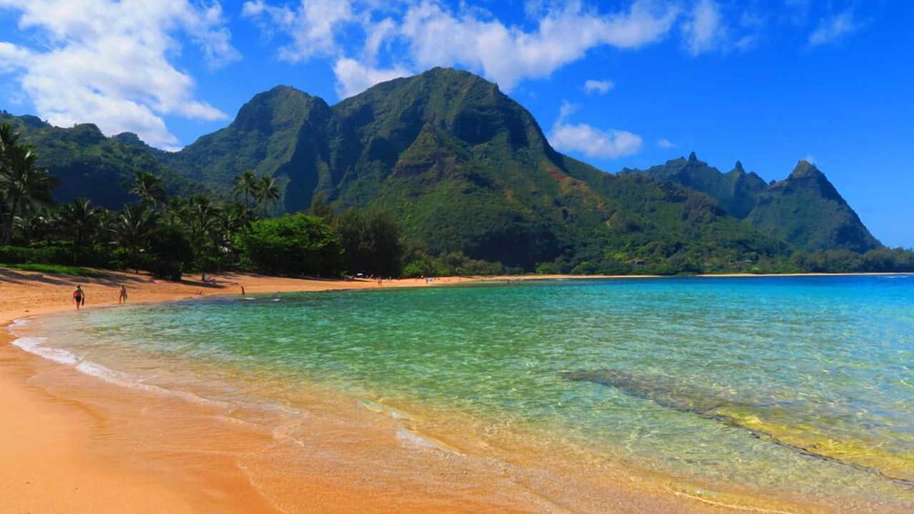 Photo of Others in Kapaa