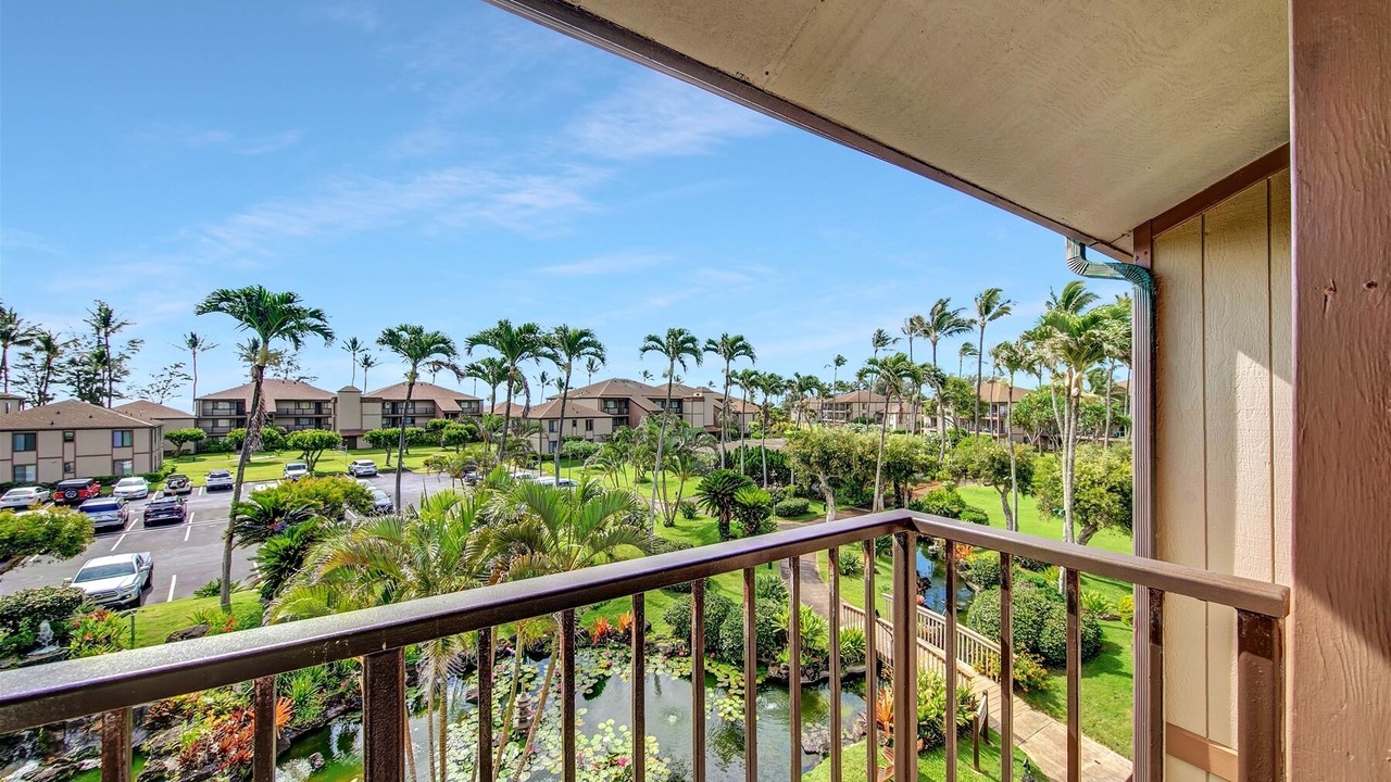 Photo of Outdoor in Kapaa
