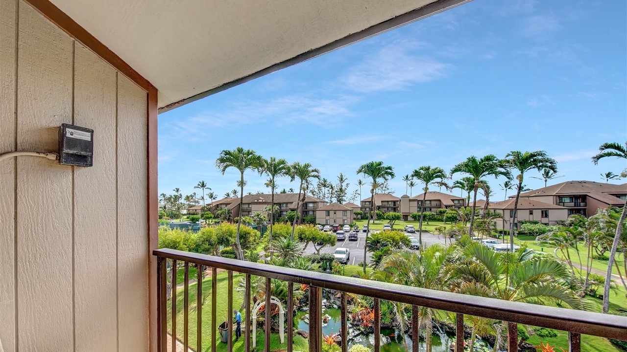 Photo of Outdoor in Kapaa