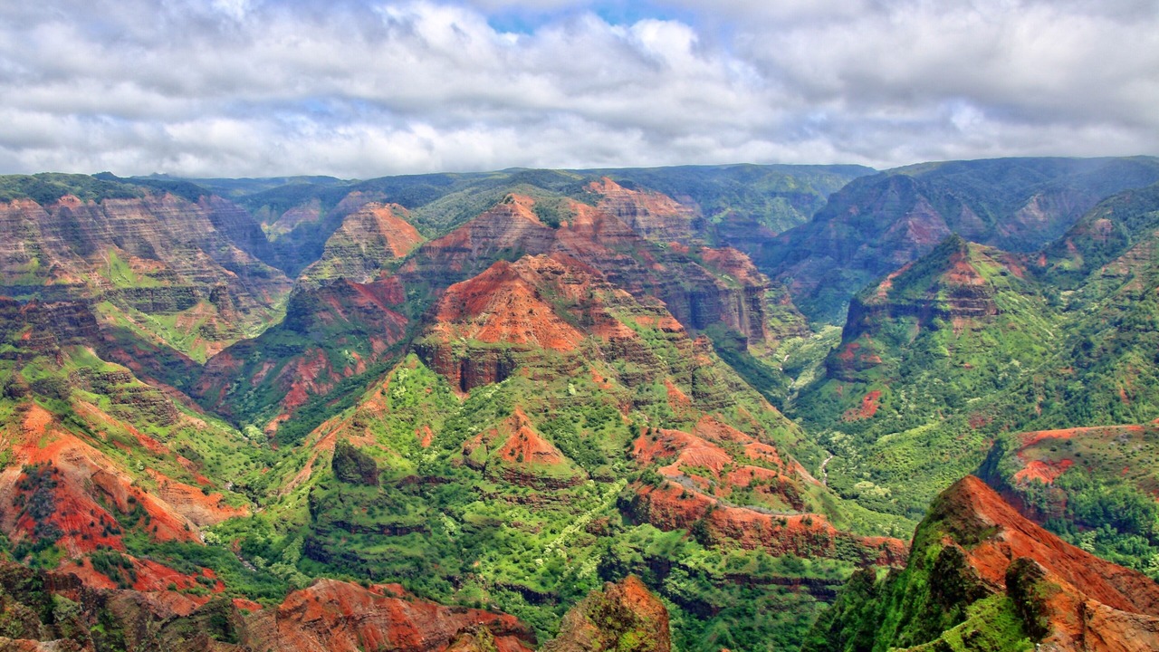 Photo of Outdoor in Poipu