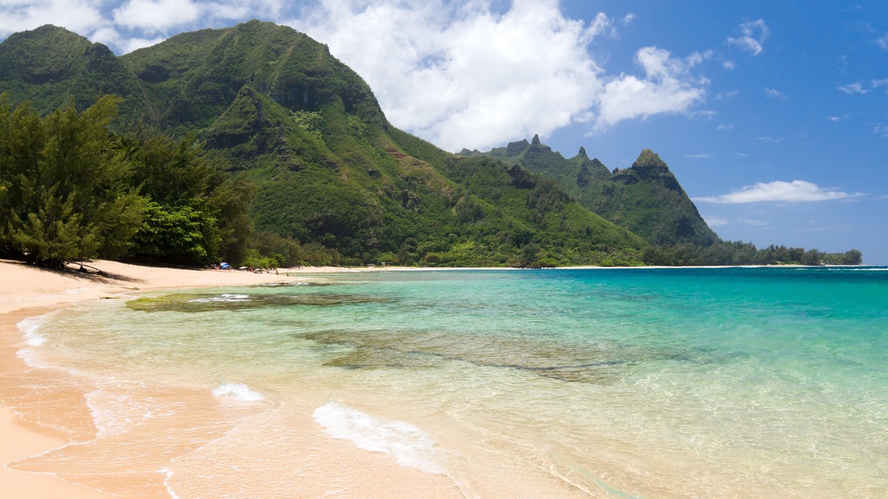 Photo of Others in Poipu