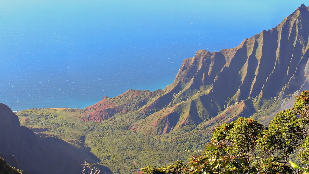 Photo of Others in Poipu
