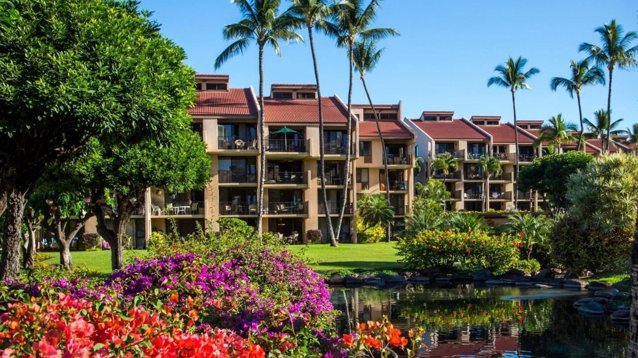 Photo of Outdoor in Kihei