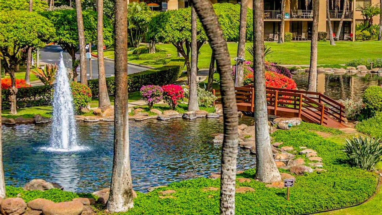 Photo of Outdoor in Kihei