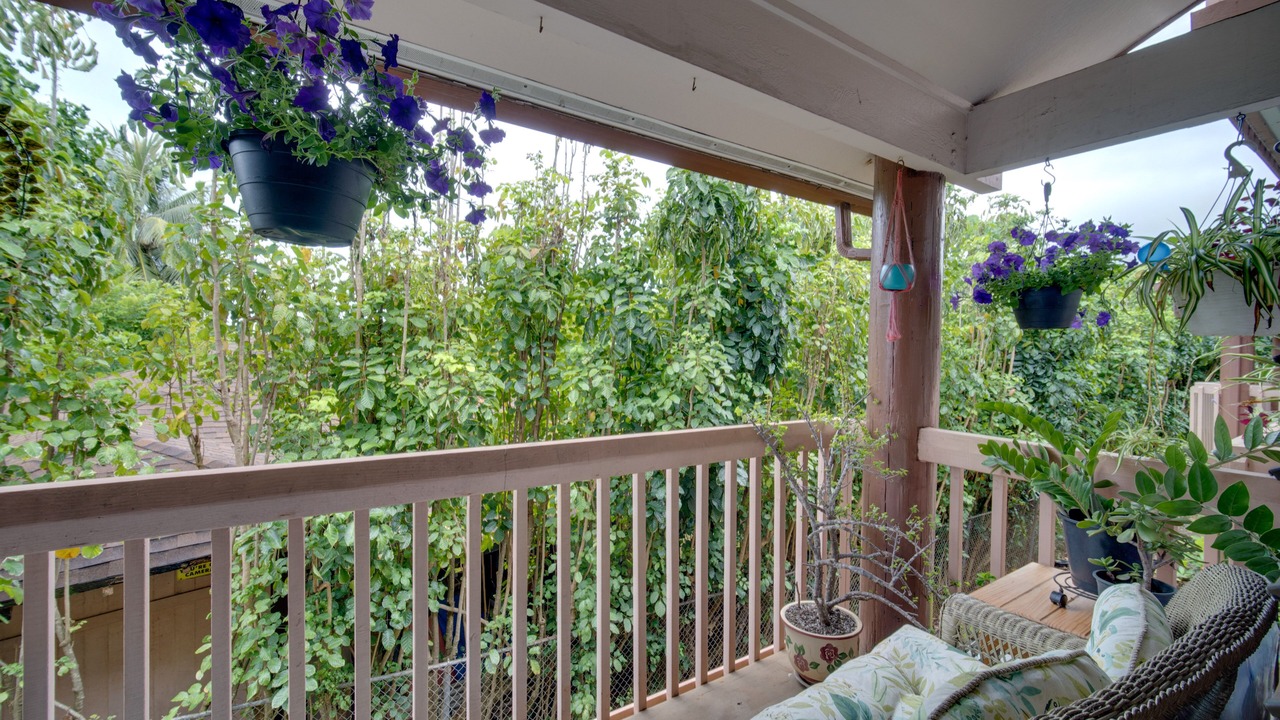 Photo of Outdoor in Nawiliwili