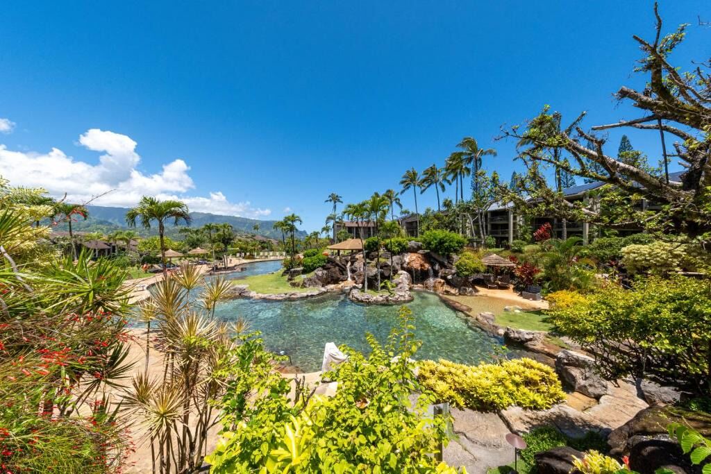Photo of Outdoor in Princeville