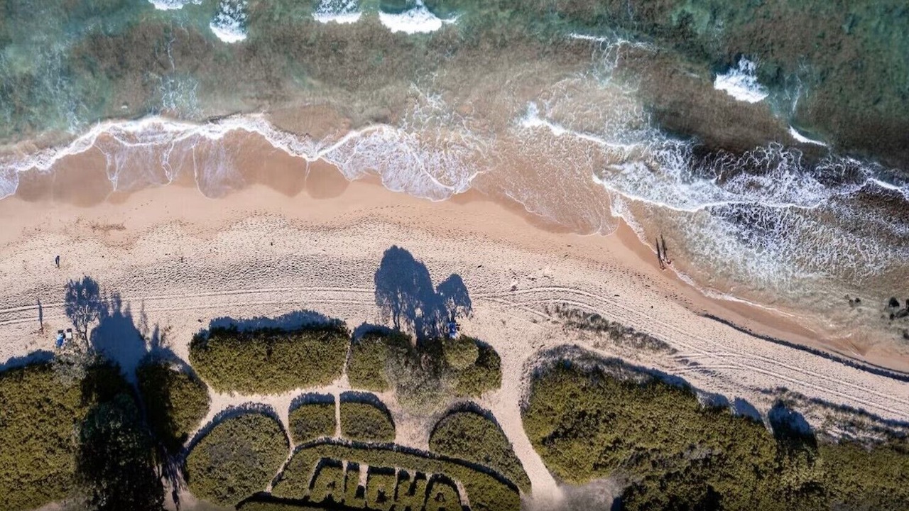 Photo of Others in Hanamaulu