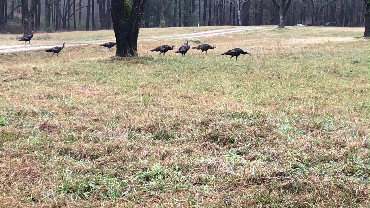 Photo of Others in Milledgeville
