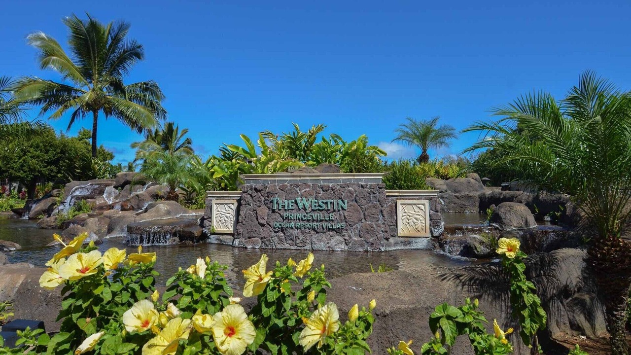 Photo of Outdoor in Princeville