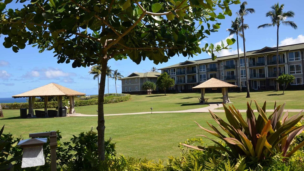 Photo of Outdoor in Princeville