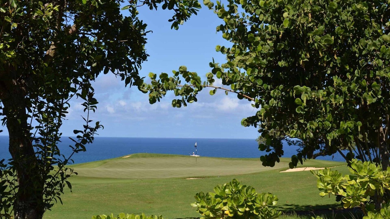 Photo of Others in Princeville