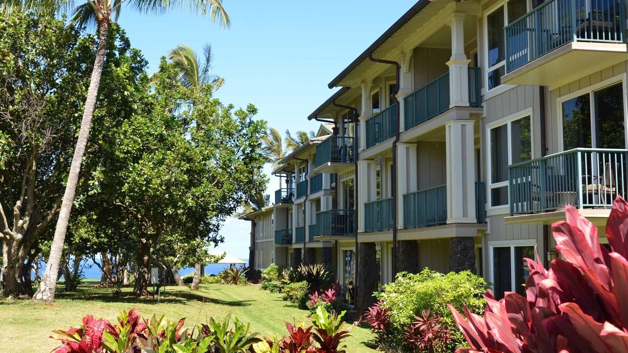 Photo of Outdoor in Princeville