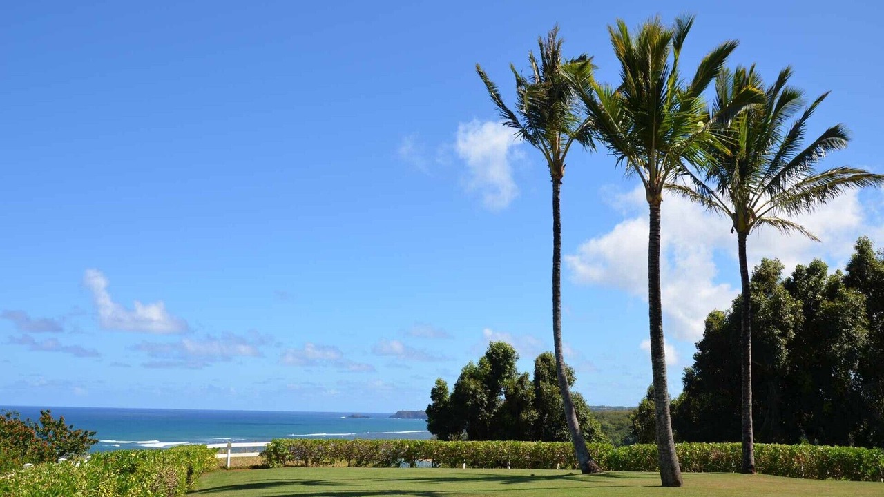 Photo of Others in Princeville