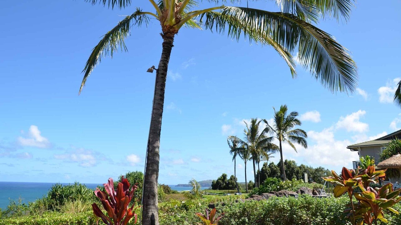 Photo of Outdoor in Princeville