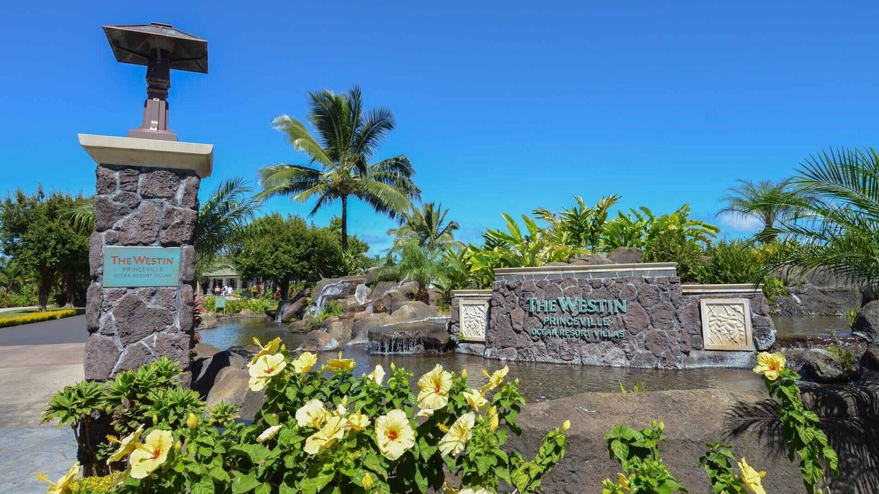 Photo of Outdoor in Princeville