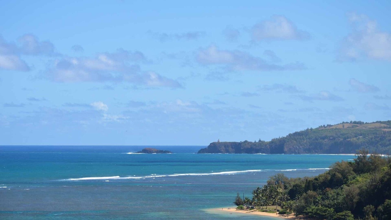 Photo of Others in Princeville