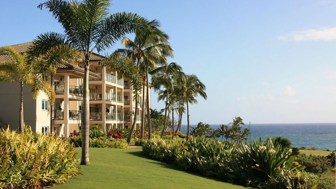 Photo of Outdoor in Lihue