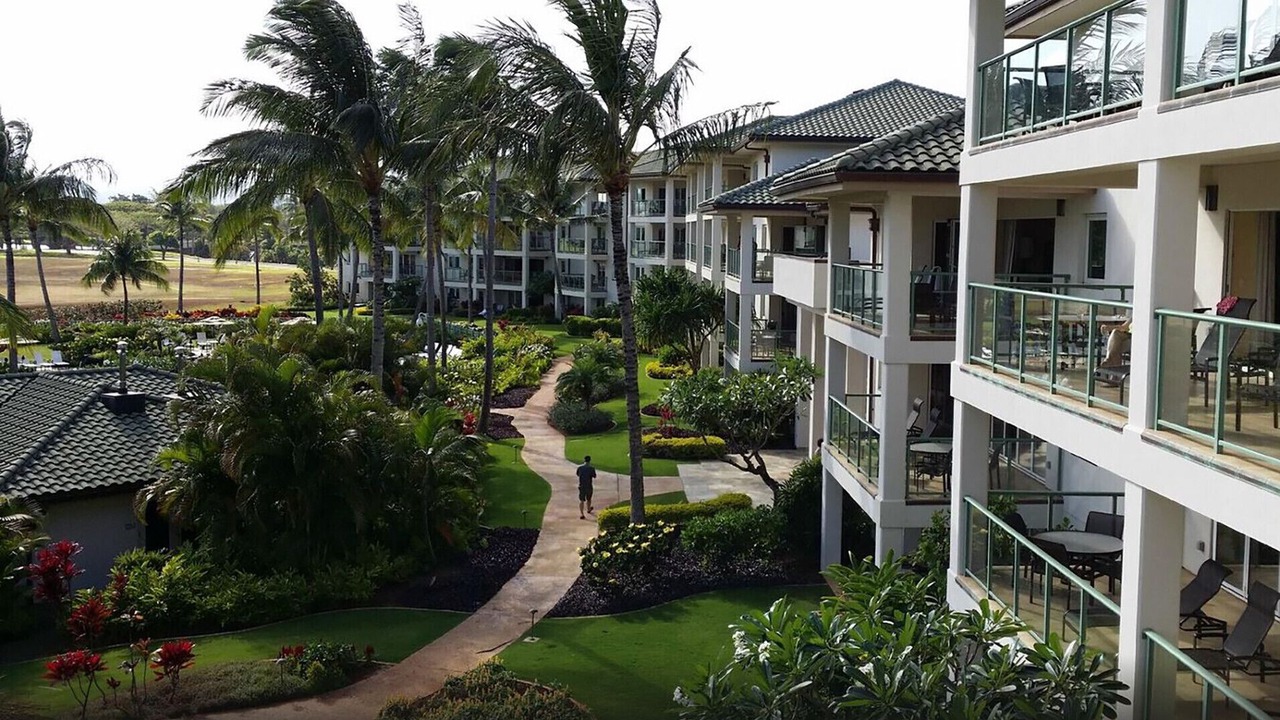 Photo of Outdoor in Lihue