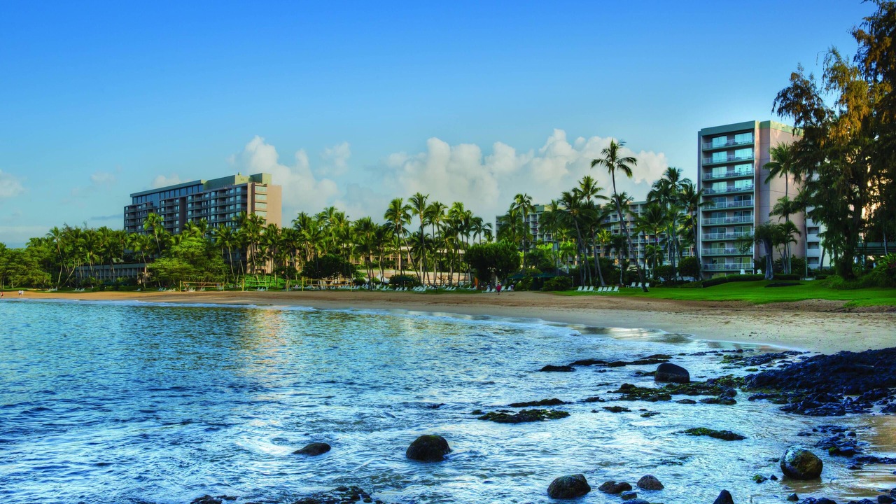 Photo of Others in Lihue