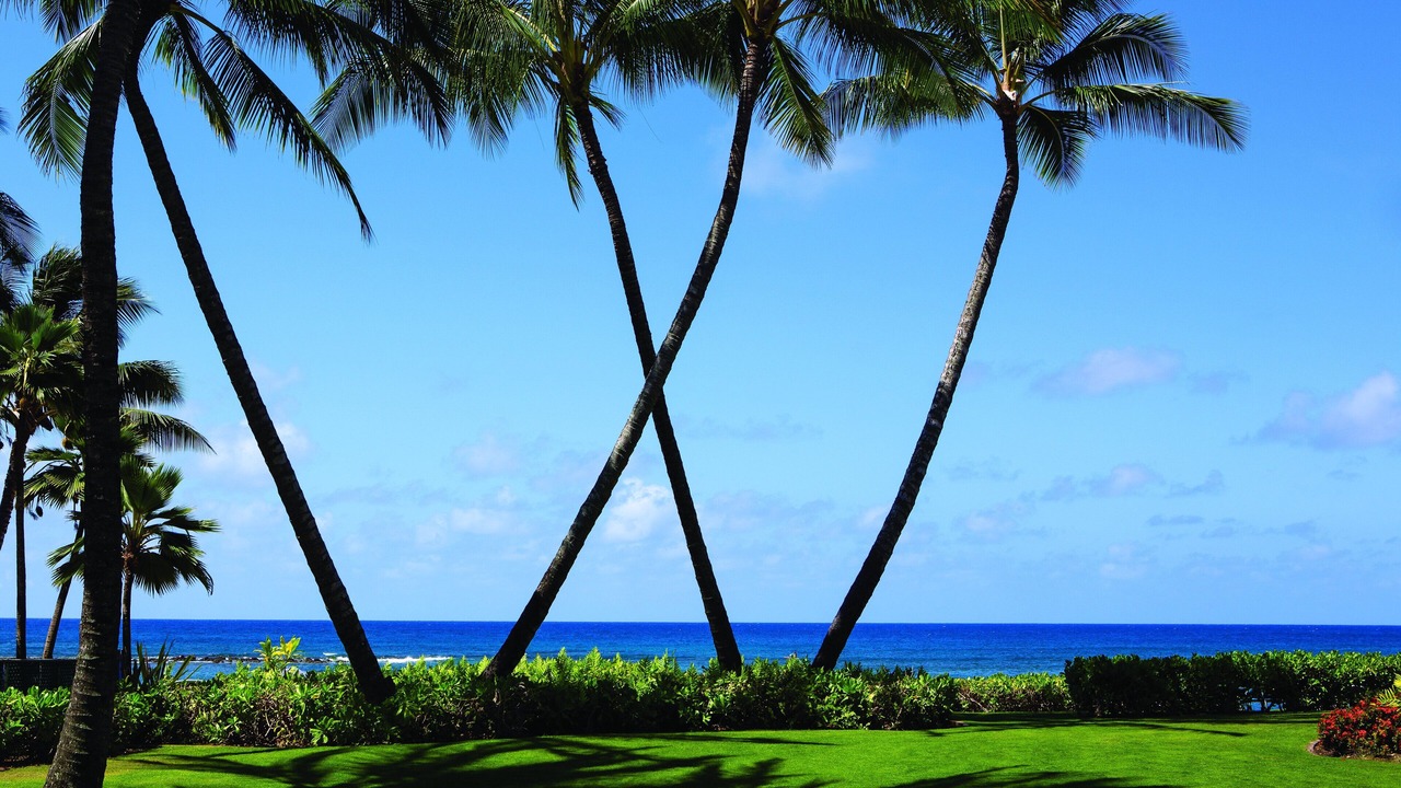 Photo of Others in Poipu