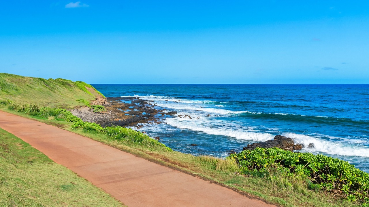 Photo of Others in Kapaa