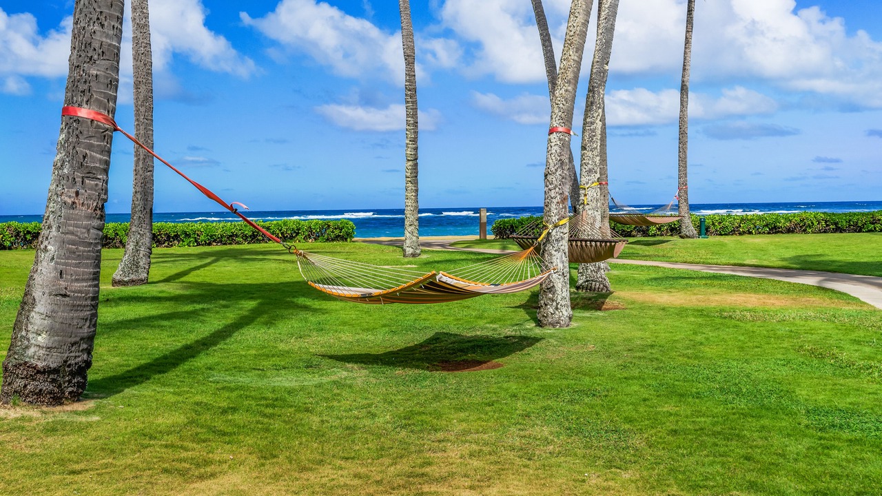Photo of Outdoor in Kapaa
