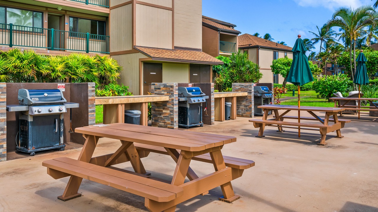 Photo of Outdoor in Kapaa