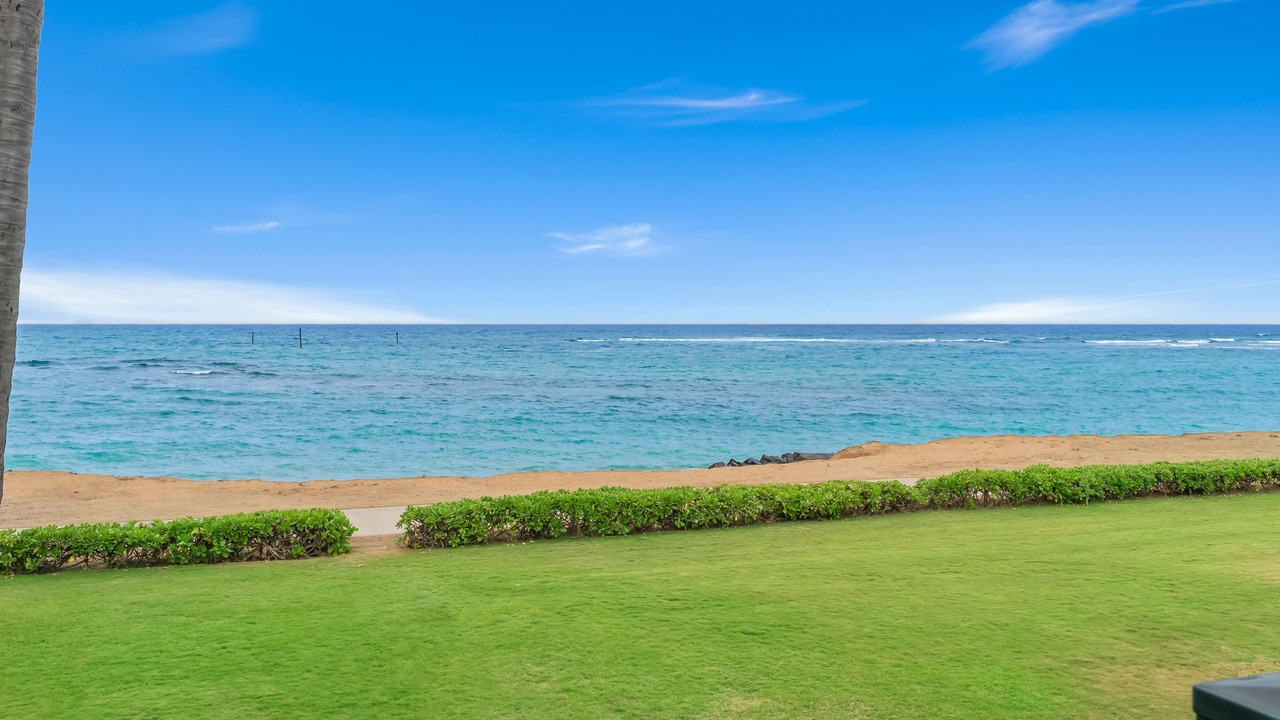 Photo of Others in Kapaa