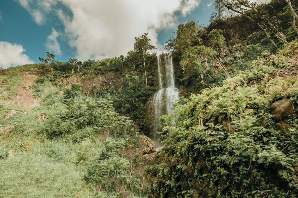 Photo of Others in Princeville